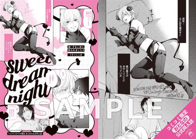 【有償特典・おとなの公式同人誌】