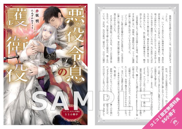 SS小冊子