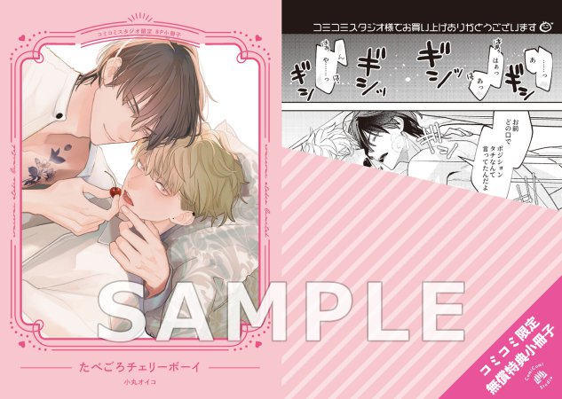 たべごろチェリーボーイ（単品）