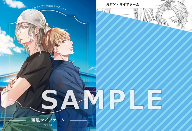 薫風マイファーム（単品）