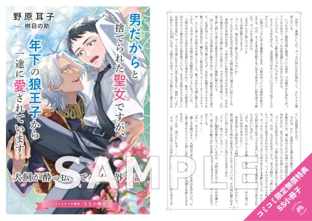 SS小冊子