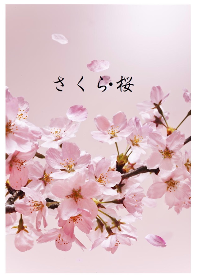 【小説】さくら・桜