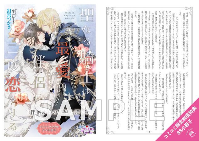 聖なる騎士は最愛の伴侶に二度恋をする（単品）