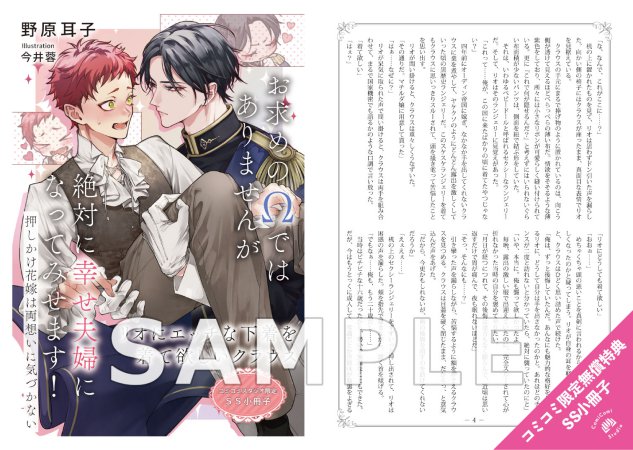 SS小冊子