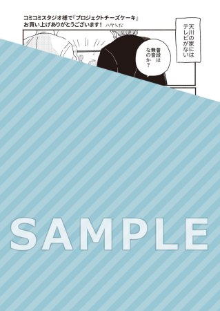 プロジェクトチーズケーキ（単品）