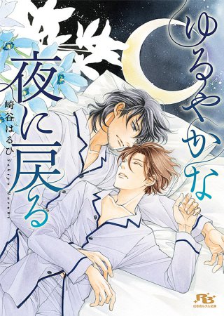 ゆるやかな夜に戻る（単品）