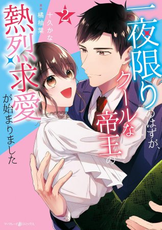一夜限りのはずが、クールな帝王の熱烈求愛が始まりました（2）