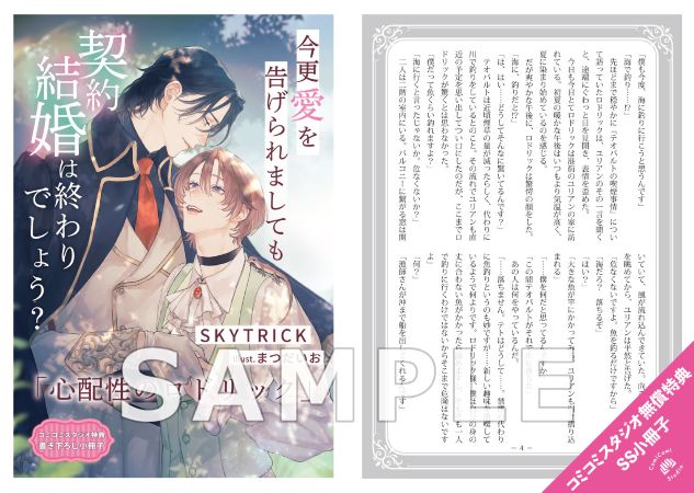 SS小冊子