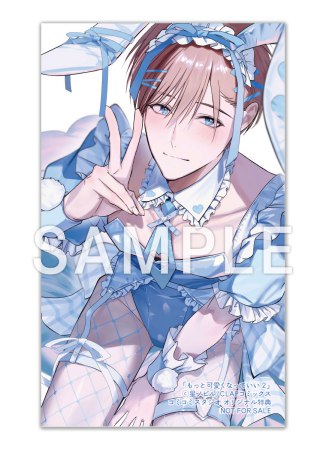 もっと可愛くなっていい（2）小冊子＆ボイス付特装版（単品）