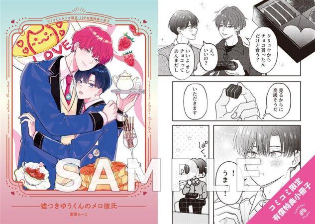 嘘つきゆうくんのメロ彼氏【有償特典・小冊子】【「BaLmyコミックス１周年フェア」・対象商品】