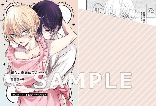 【2冊セット商品】『生徒会長とヤンキーくん 特装版』＋『僕らの青春は歪んでいる 特装版』