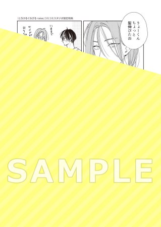 とろけるくちびる raise（単品）