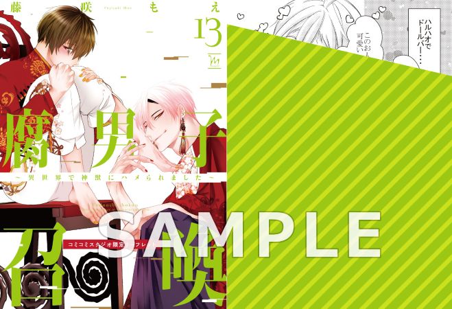 腐男子召喚～異世界で神獣にハメられました～（13）通常版【有償特典・小冊子】
