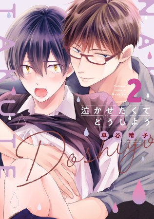泣かせたくてどうしよう（2）（単品）