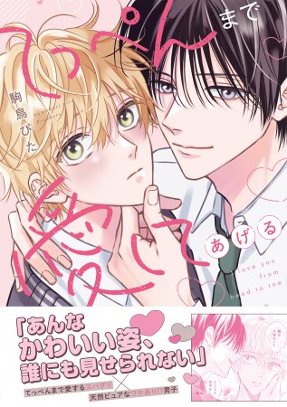 てっぺんまで愛してあげる（単品）