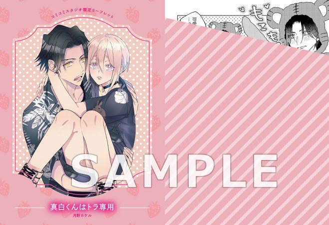 真白くんはトラ専用（単品）