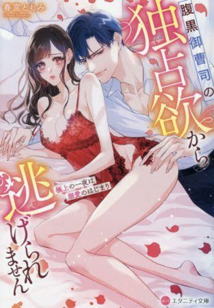 腹黒御曹司の独占欲から逃げられません　～極上の一夜は溺愛のはじまり～