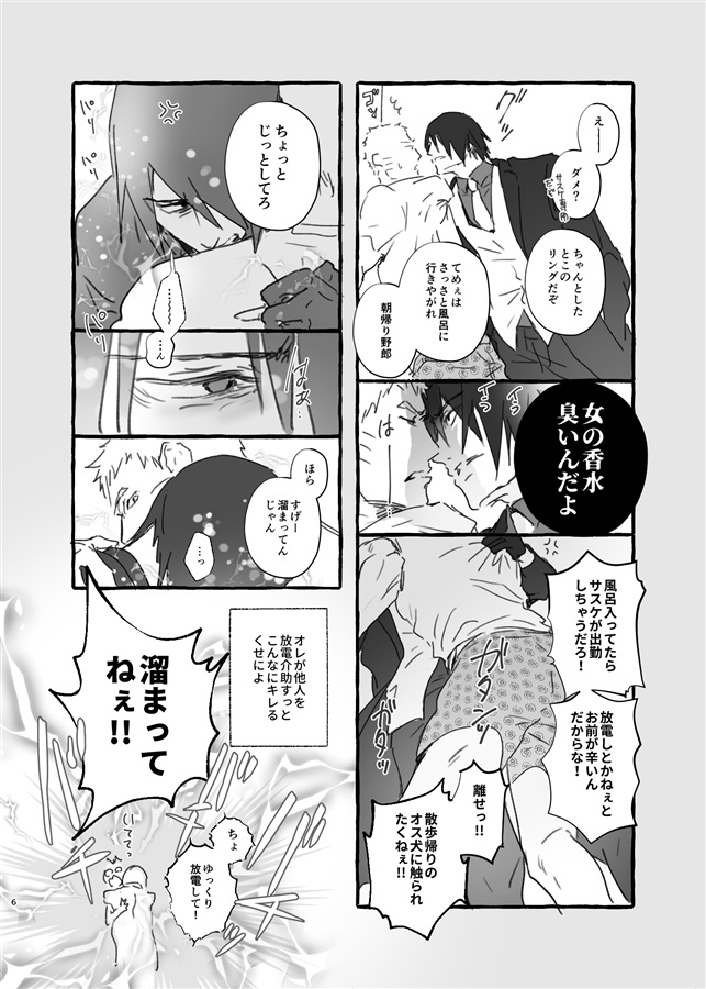 NとSとポールシフト