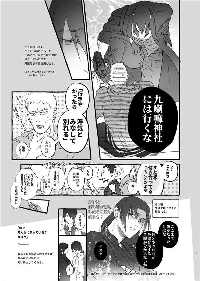 NとSとポールシフト