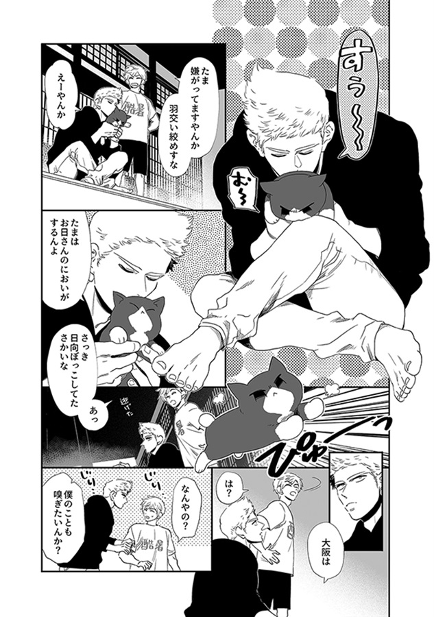 ランニチアソート再録集